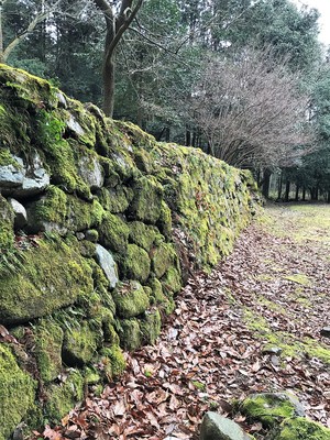 妻木城士屋敷跡の石垣