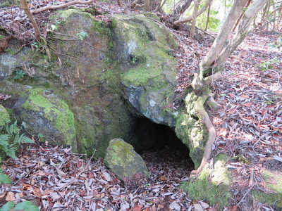 北尾根の堀切下の洞窟②
