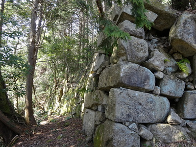 平井丸の石垣
