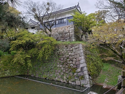 辰巳櫓と石垣