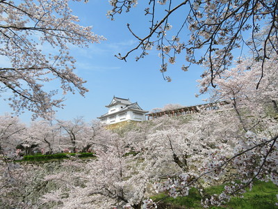 桜に囲まれた備中櫓