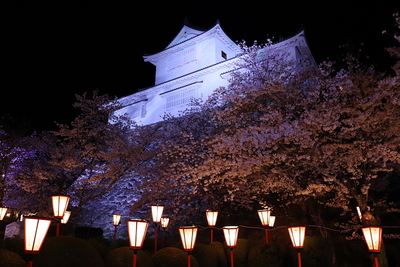 夜桜と備中櫓