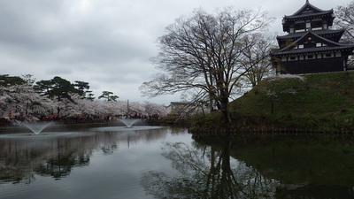 高田城と桜まつり
