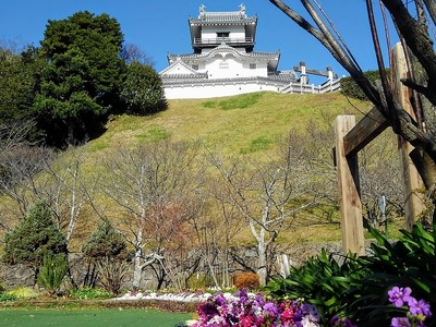 掛川城本丸跡の花と天守閣