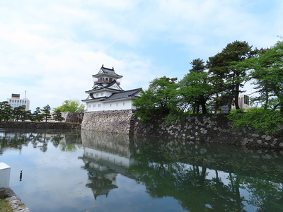 新緑の富山城