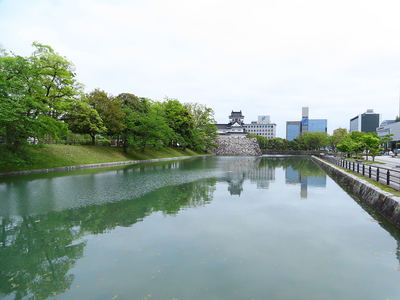 新緑の富山城と堀