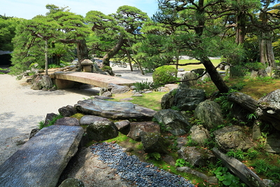 表御殿庭園 枯滝付近から中島の松をのぞむ