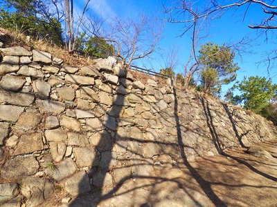三の丸南側の石垣