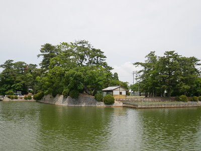 二の丸　花菖蒲園付近から神戸櫓跡を見る