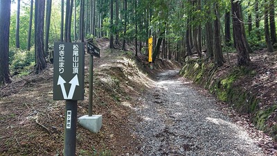 松尾山登山道