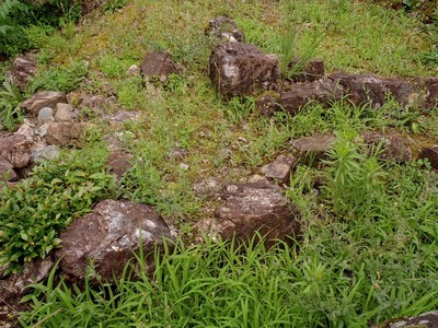 草に埋もれた斎藤時代の石段跡
