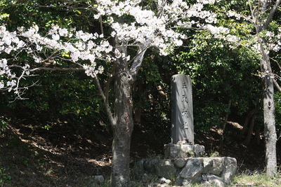 桜の下の城址碑