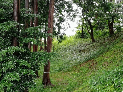 城山神社に残る土塁