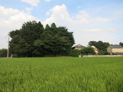 西側からの遠景