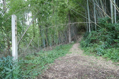 大手門跡の近くから