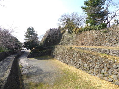 本丸東側の石垣、堀