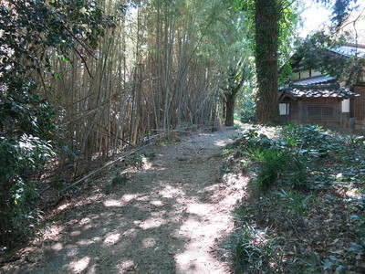 八幡大神社(東城)の堀跡？ ※周辺スポット