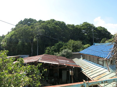 八幡大神社(東城)の全景 ※周辺スポット