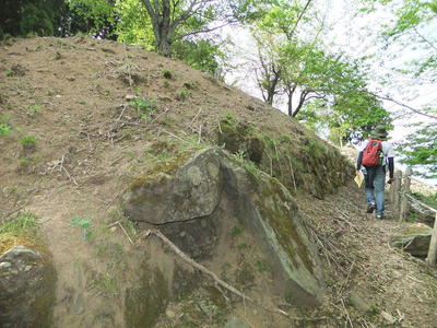 ホウヅキ段の石垣（主郭南側）