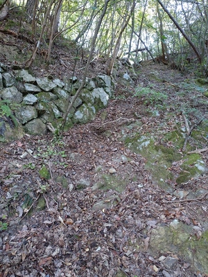 登城路の途中の石垣