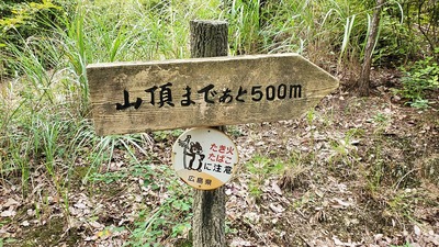 登山口から50mほど登った所の案内板