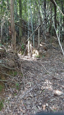 麻底良神社奥の院への登り道、参道？