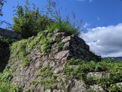 陣屋跡の石垣
