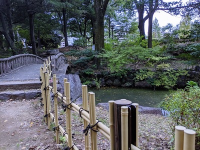 下茶屋公園の池