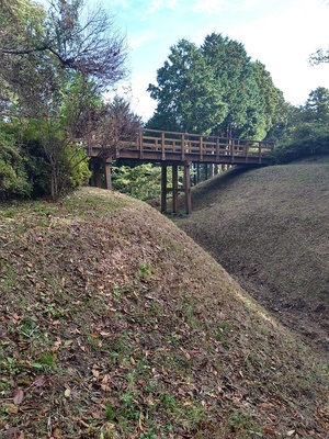 本丸と蔵郭の間。堀に橋の跡あり