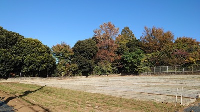 城址(都立園芸高校)