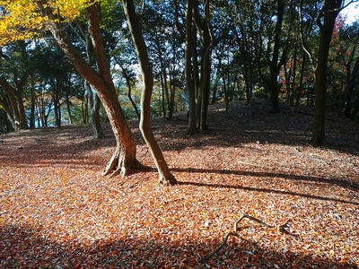 三ノ丸と土塁