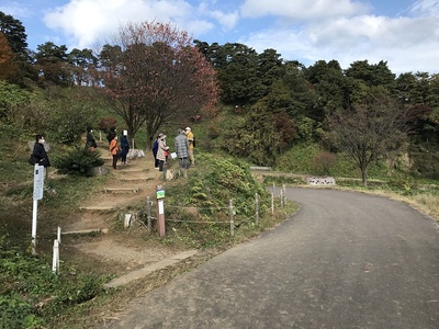舗装道路から米蔵経由本丸への登城口