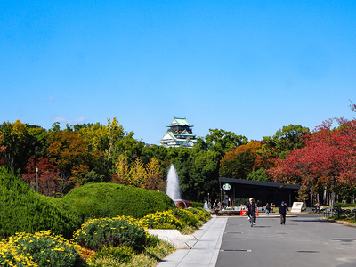 秋めく大阪城公園