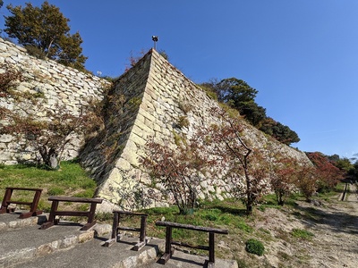 石垣(東ノ丸南側)