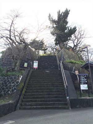 亀山公園北口の階段