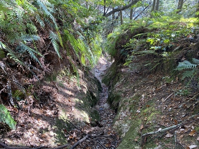 登山道