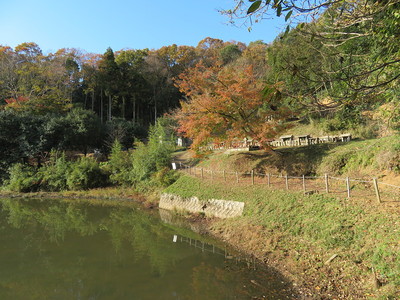 陽松禅寺側の登城道