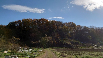 城址北側からの遠景