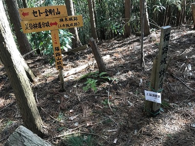 猫路山城跡