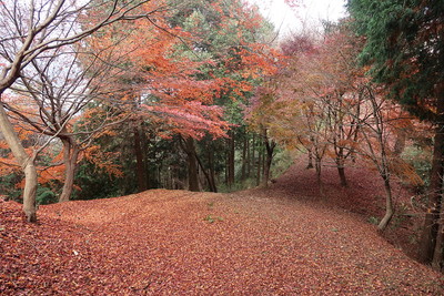 小川城 紅葉の絨毯