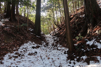 樫原城 城址南の堀切