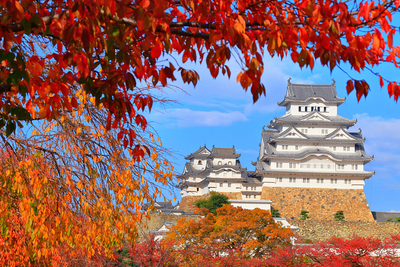 桜の紅葉と天守