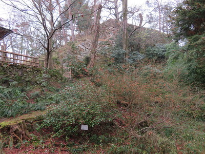花明山植物園側から本丸杉櫓跡