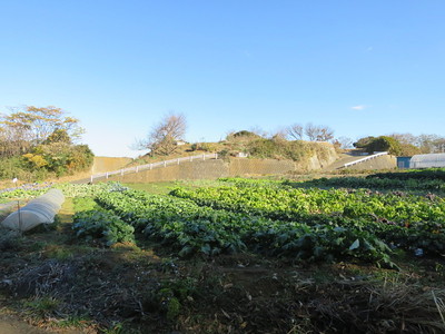 南の峰の麓から塚畑方面を望む