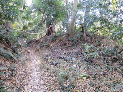 南の峰の麓の土塁