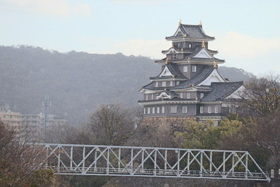 岡山神社からの天守閣