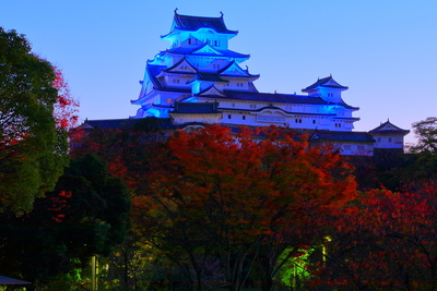 ブルー・ライトアップ天守をシロトピア記念公園から