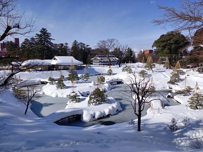凍る玉泉院丸庭園