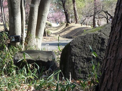 土塁と堀