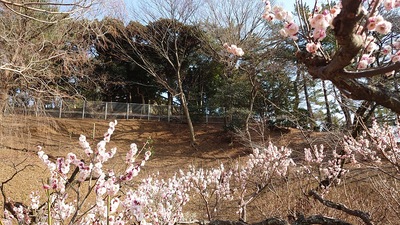 大倉山公園北側